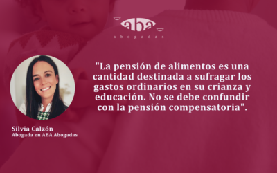 Pensión de alimentos: ¿cuáles son los gastos ordinarios y extraordinarios?