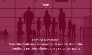 diseño familia numerosa: Familia numerosa: custodia materna con derecho de uso del domicilio familiar y pensión alimenticia a cargo del padre.