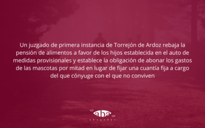 Un juzgado reduce la pensión de alimentos y establece que los gastos de las mascotas se dividan por mitad, en lugar de asignar una cuantía fija al cónyuge no custodio